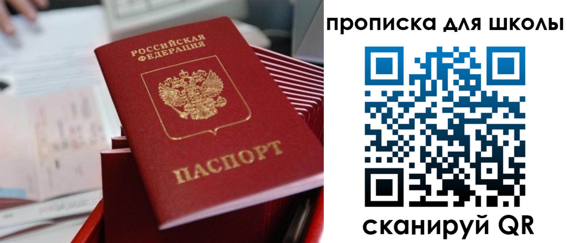 прописка для школы в Кудрово
